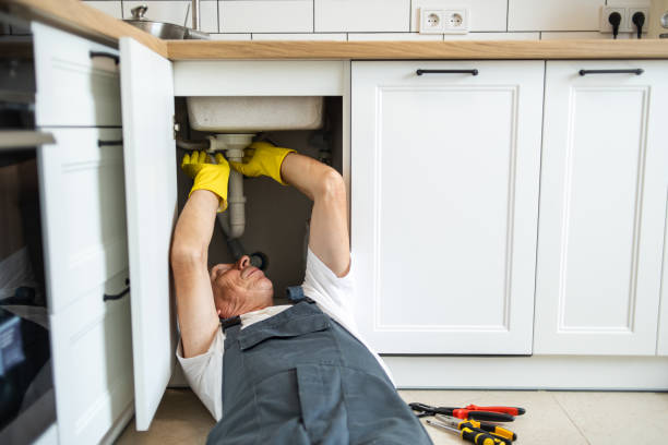 Best Plumbing Inspection Services  in Jerseyvle, IL